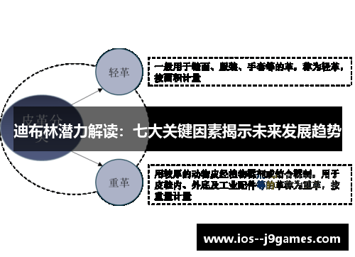 迪布林潜力解读:七大关键因素揭示未来发展趋势 迪布林潜力解读:七大关键因素揭示未来发展趋势